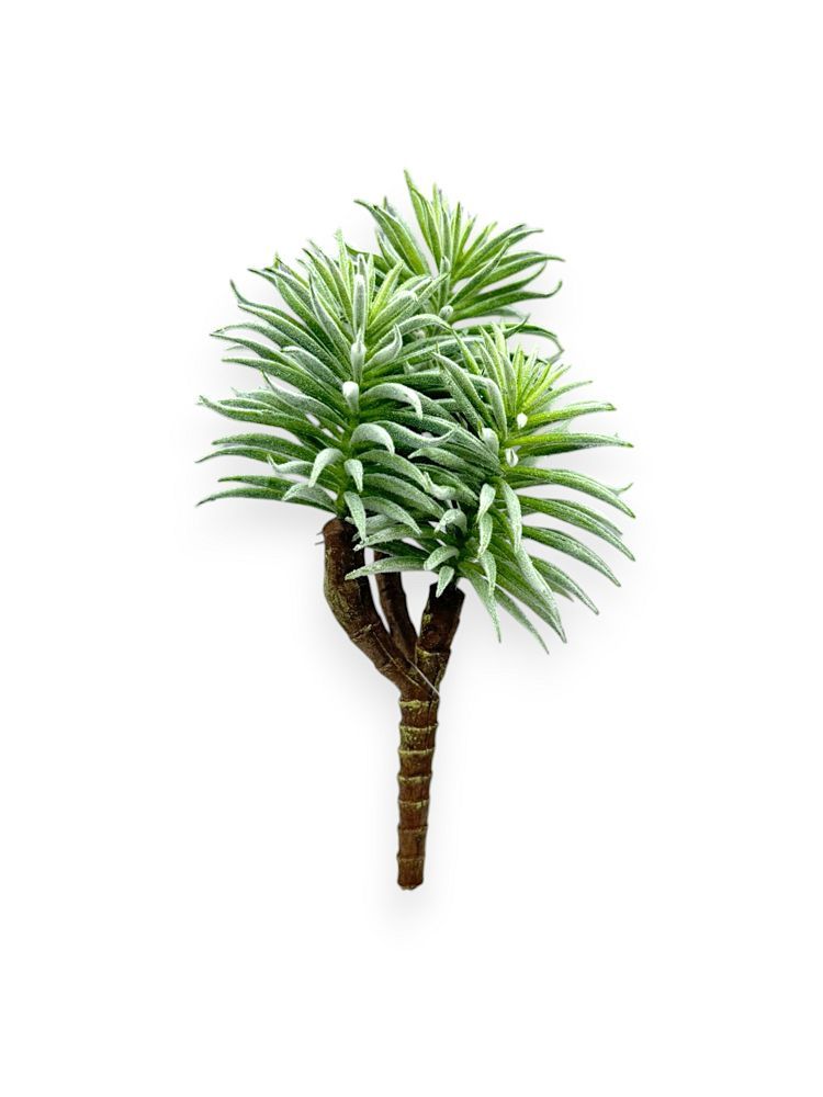 SUCCULENT PICKX3 8" UV