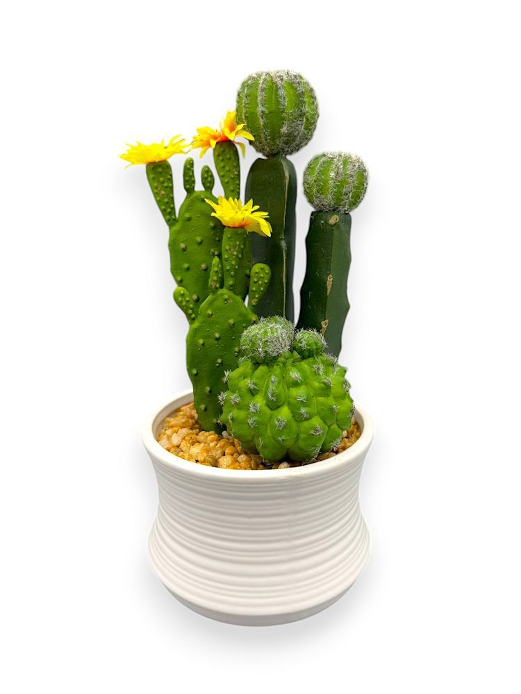 artificial succulent plants cactus MIX CACTUS WH POT 10.5" UV – Chan's Silk Flowers, inc