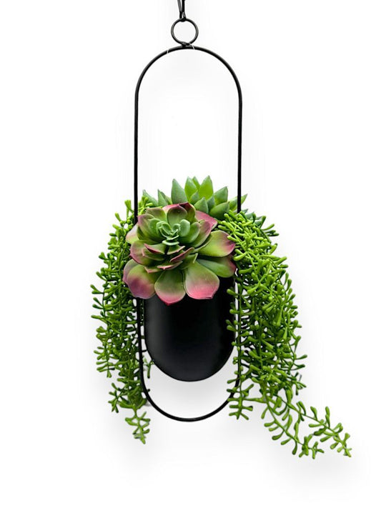 MIX SUCCULENT HNG.POT 30"
