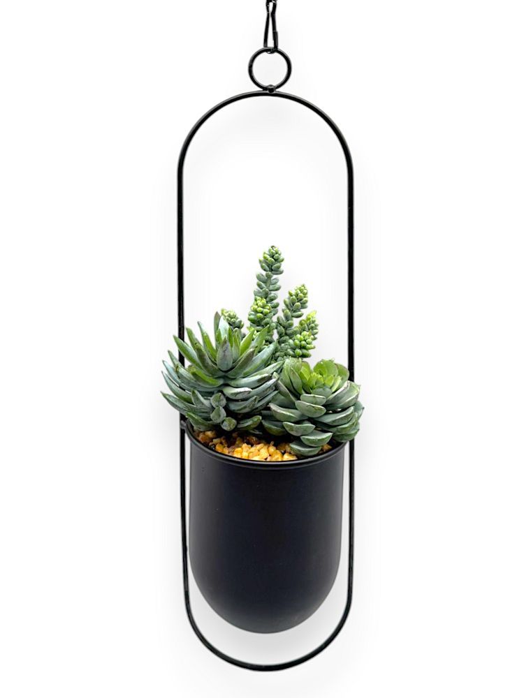 mix succulent arrangement MIX SUCCULENT HNG.POT 27" – Chan's Silk Flowers, inc