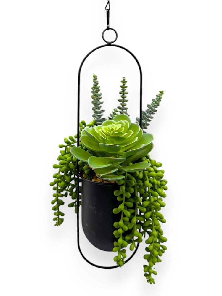 succulent silk plants MIX SUCCULENT HNG.POT 26" – Chan's Silk Flowers, inc