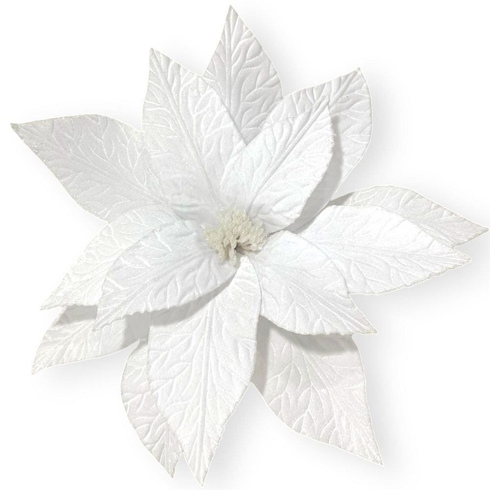 Big Traditional Poinsettia