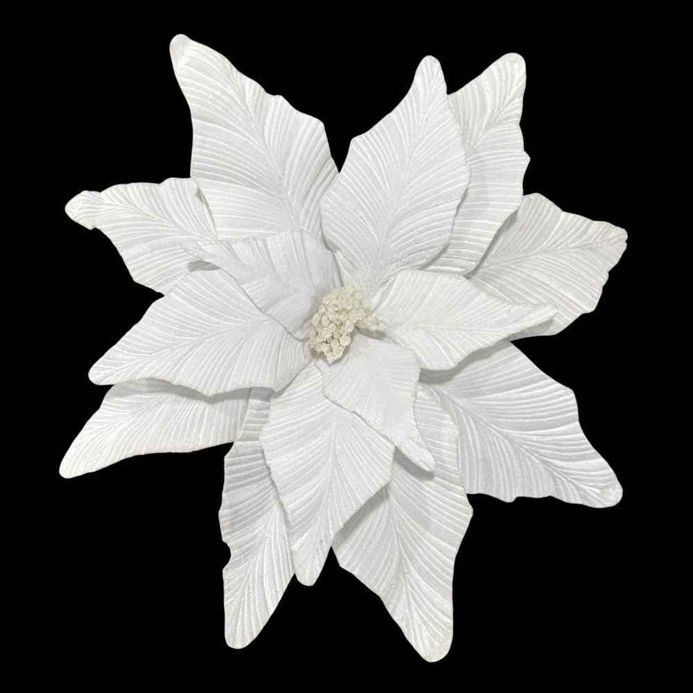 Big Velvet Poinsettia