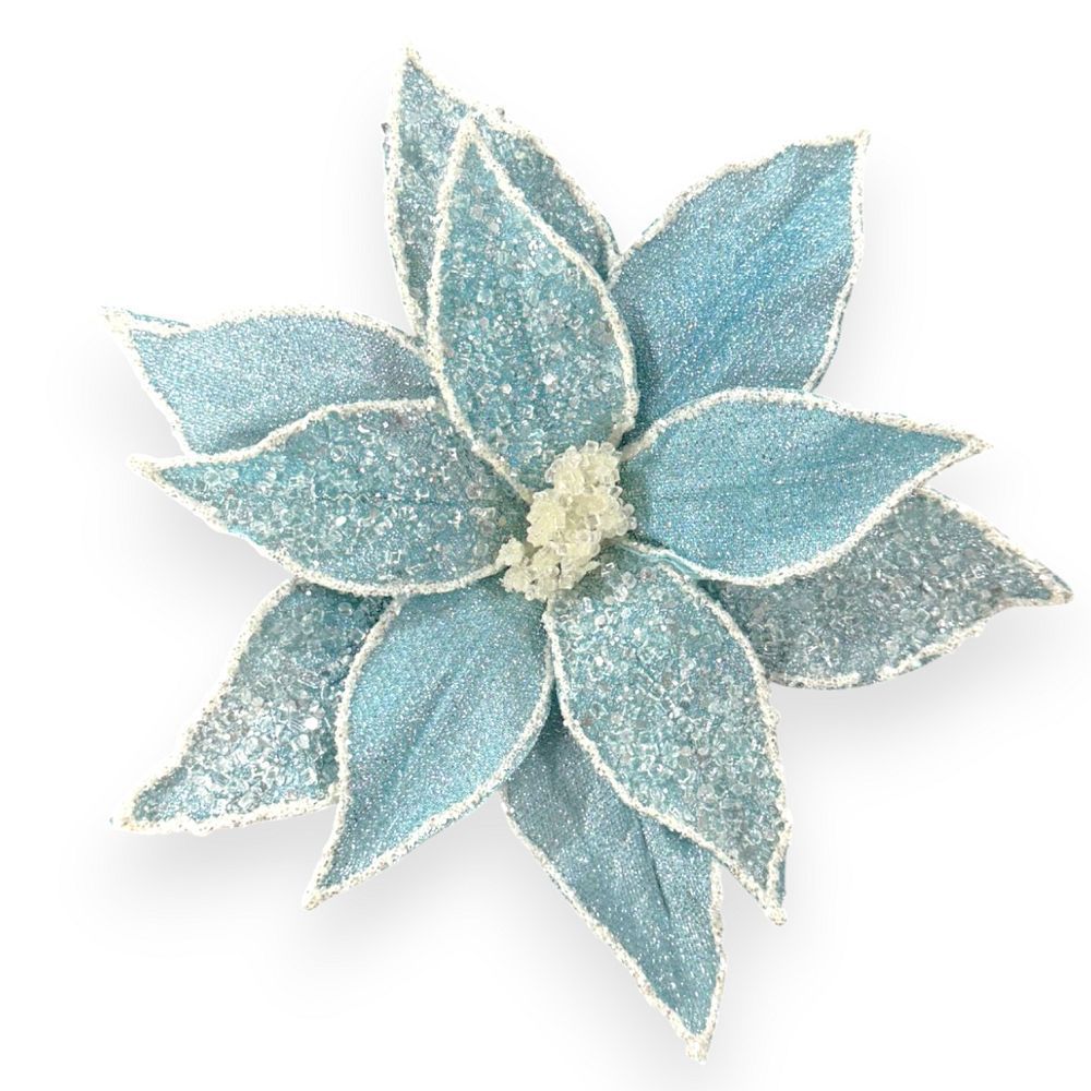 Blue/White Poinsettia