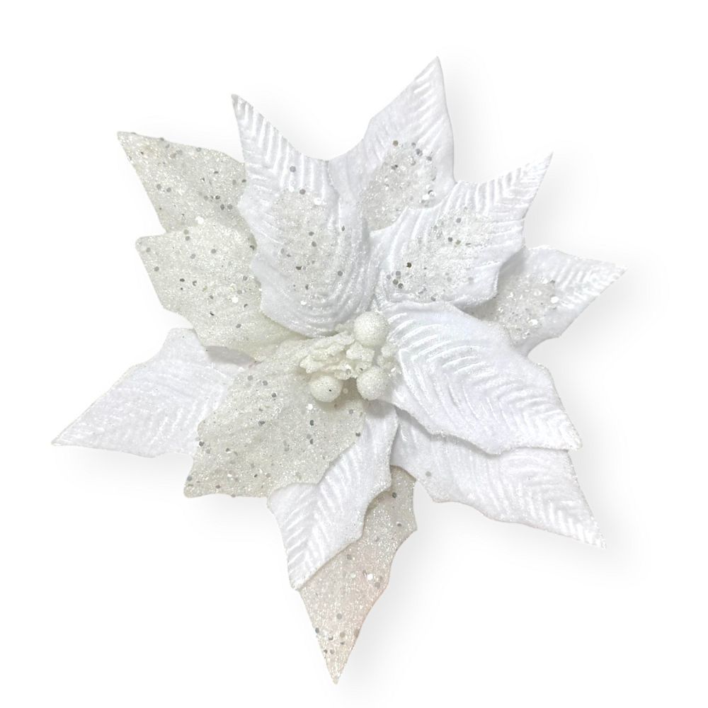 White Poinsettia