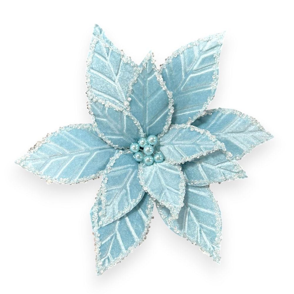 Light Blue Frosty Poinsettia
