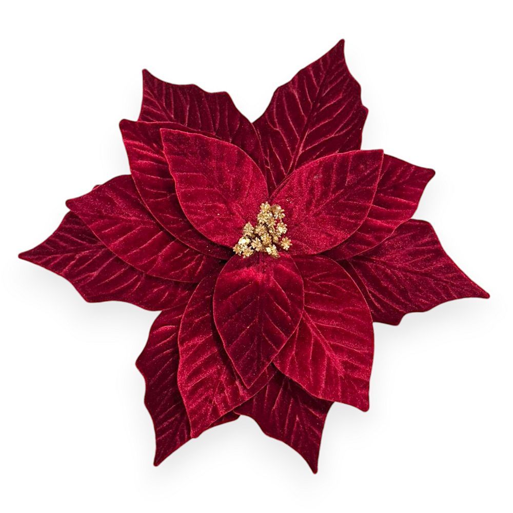 Velvet Poinsettia