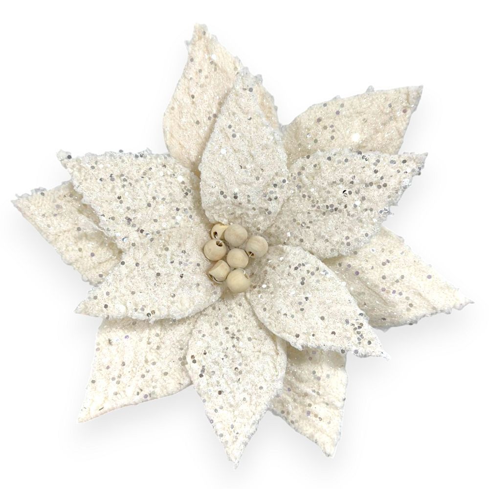 Frosted White Poinsettia