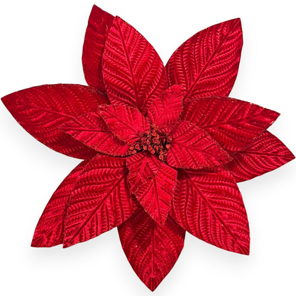 Classic Red Poinsettia