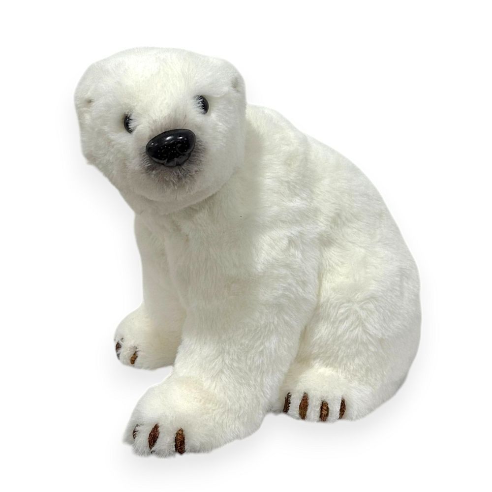 Sitting Polar Bear