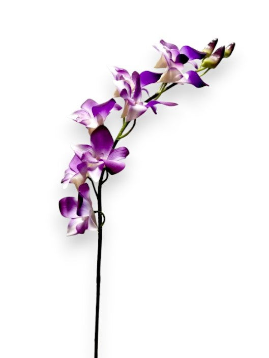 ORCHID DENDROB. 27"