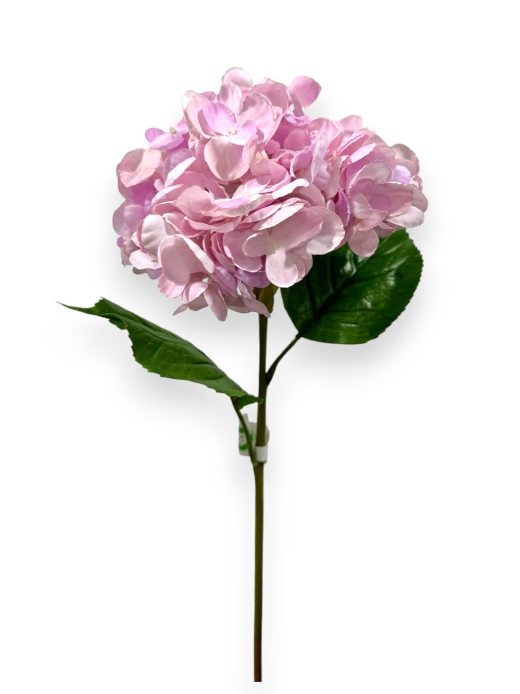 HYDRANGEA STEM NAT. 22"