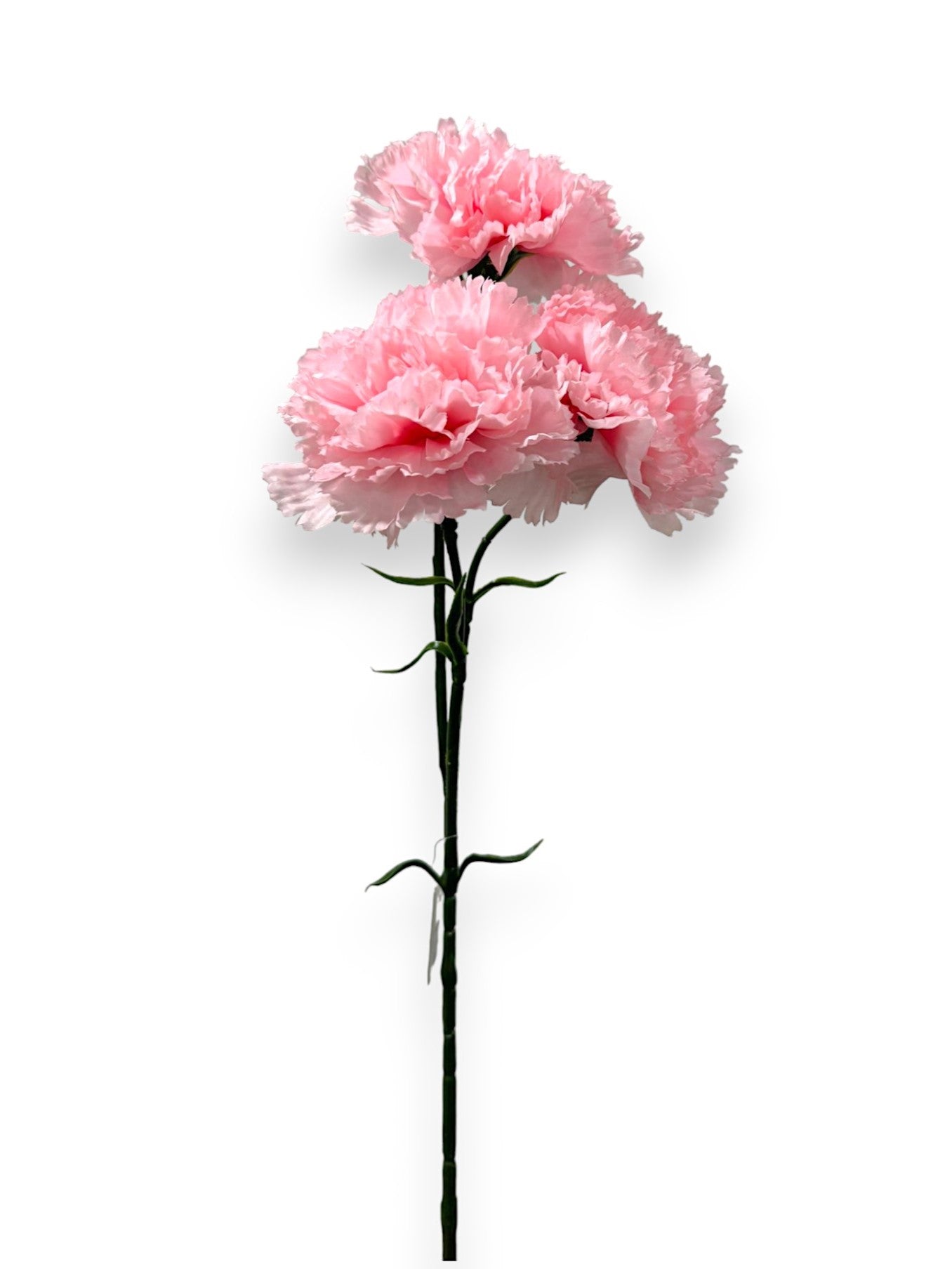 CARNATION STEM X3