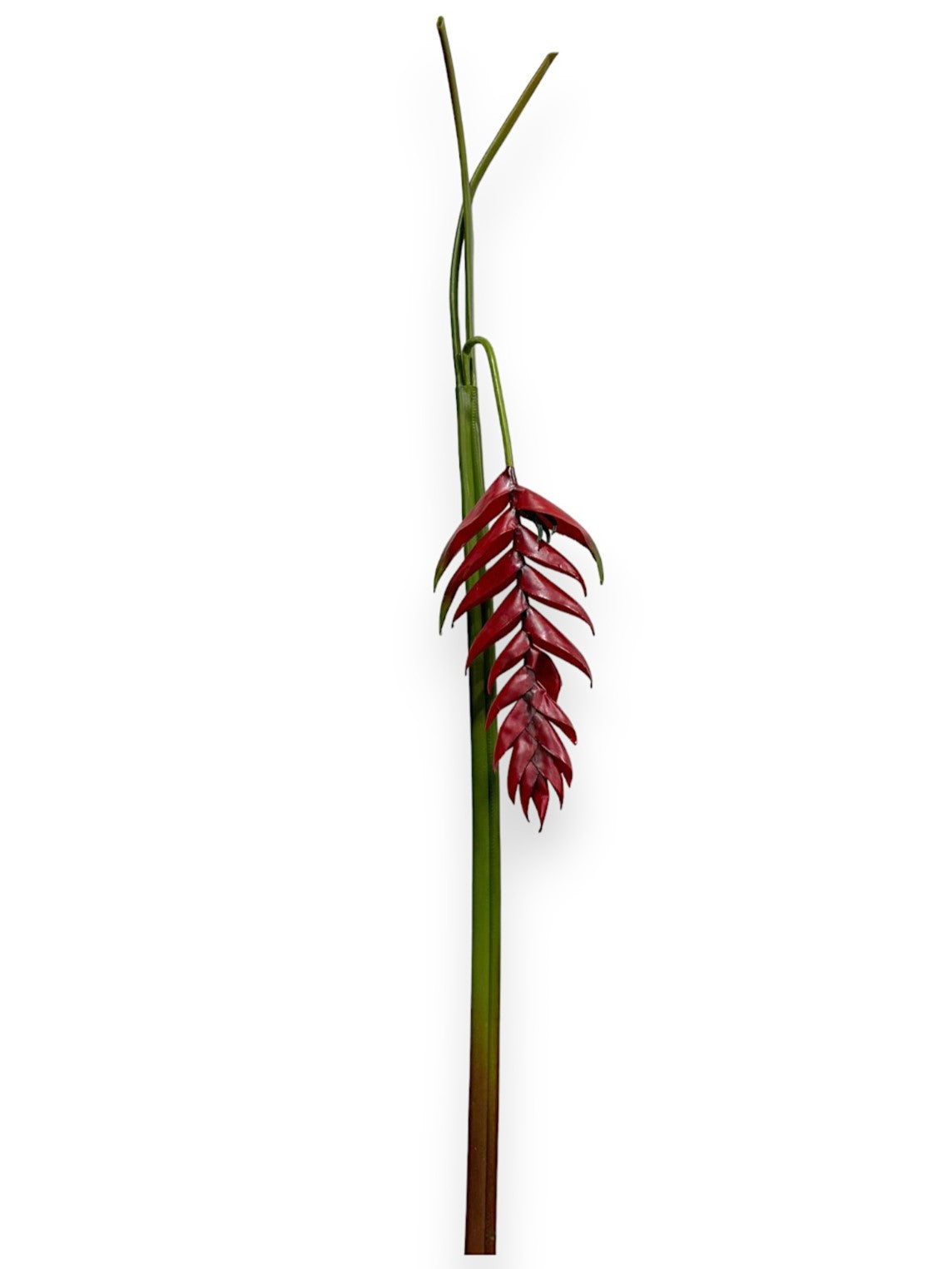hanging heliconia plant Heliconia Hanging 45" – Chan's Silk Flowers, inc