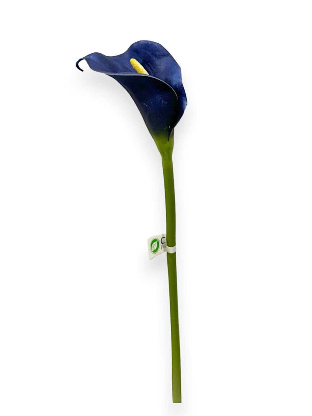 blue calla lily plant EVA CALLA LILY 29" – Chan's Silk Flowers, inc
