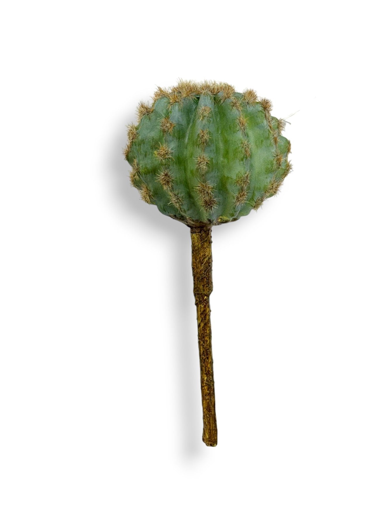 CACTUS STEM 8"