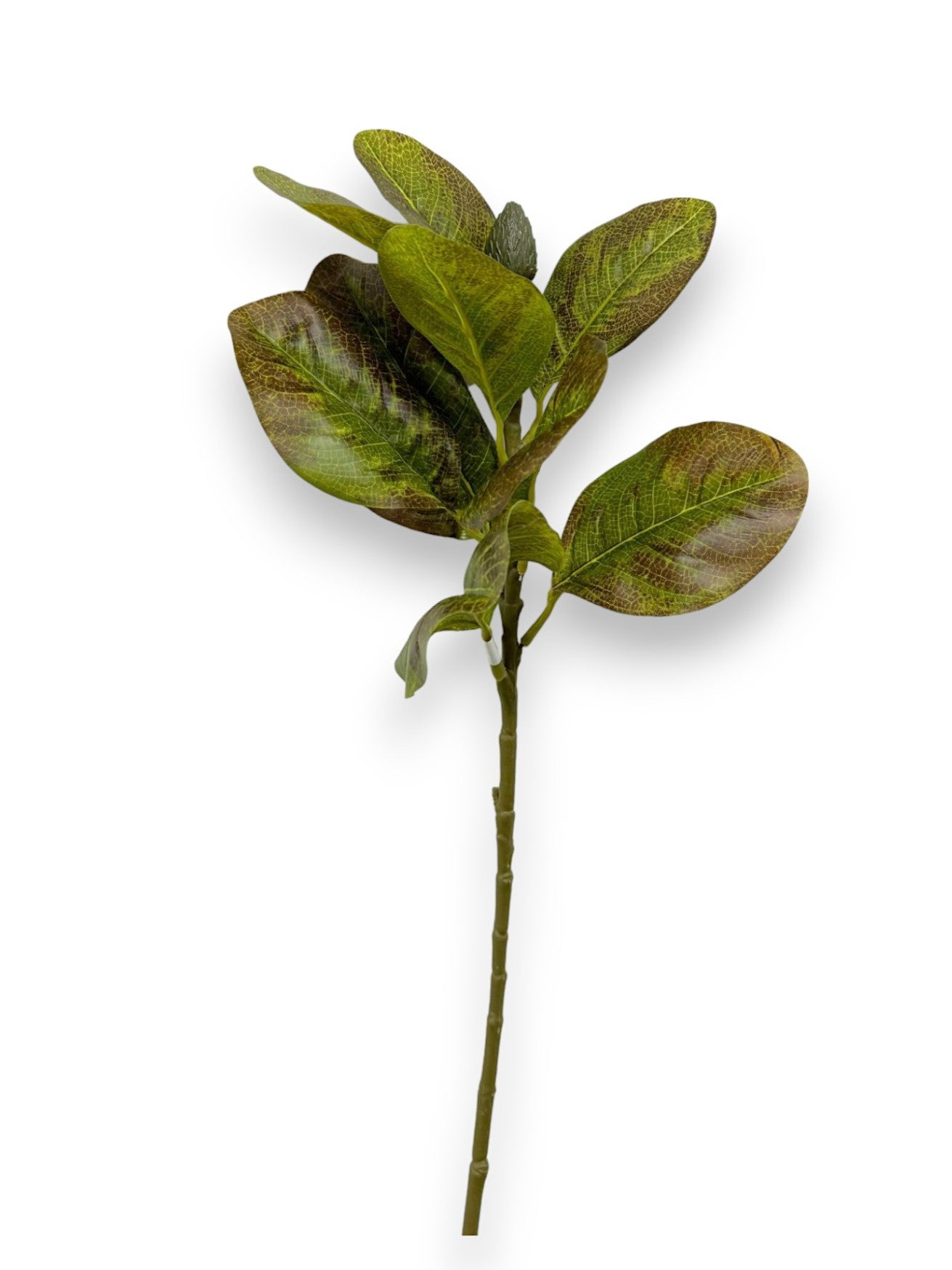 MAGNOLIA LEAF X21LVS 32"