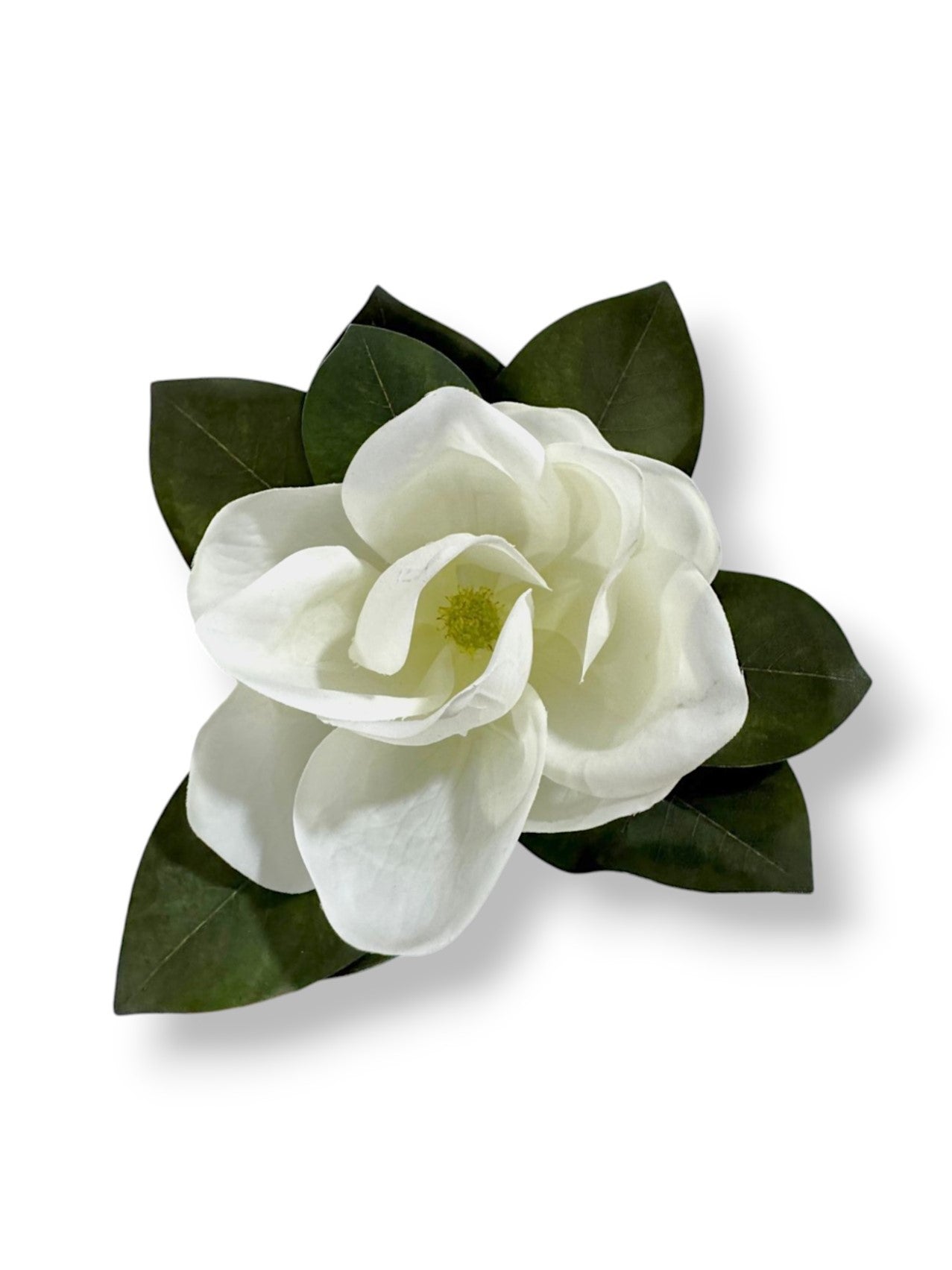 MAGNOLIA WITH LEAVES