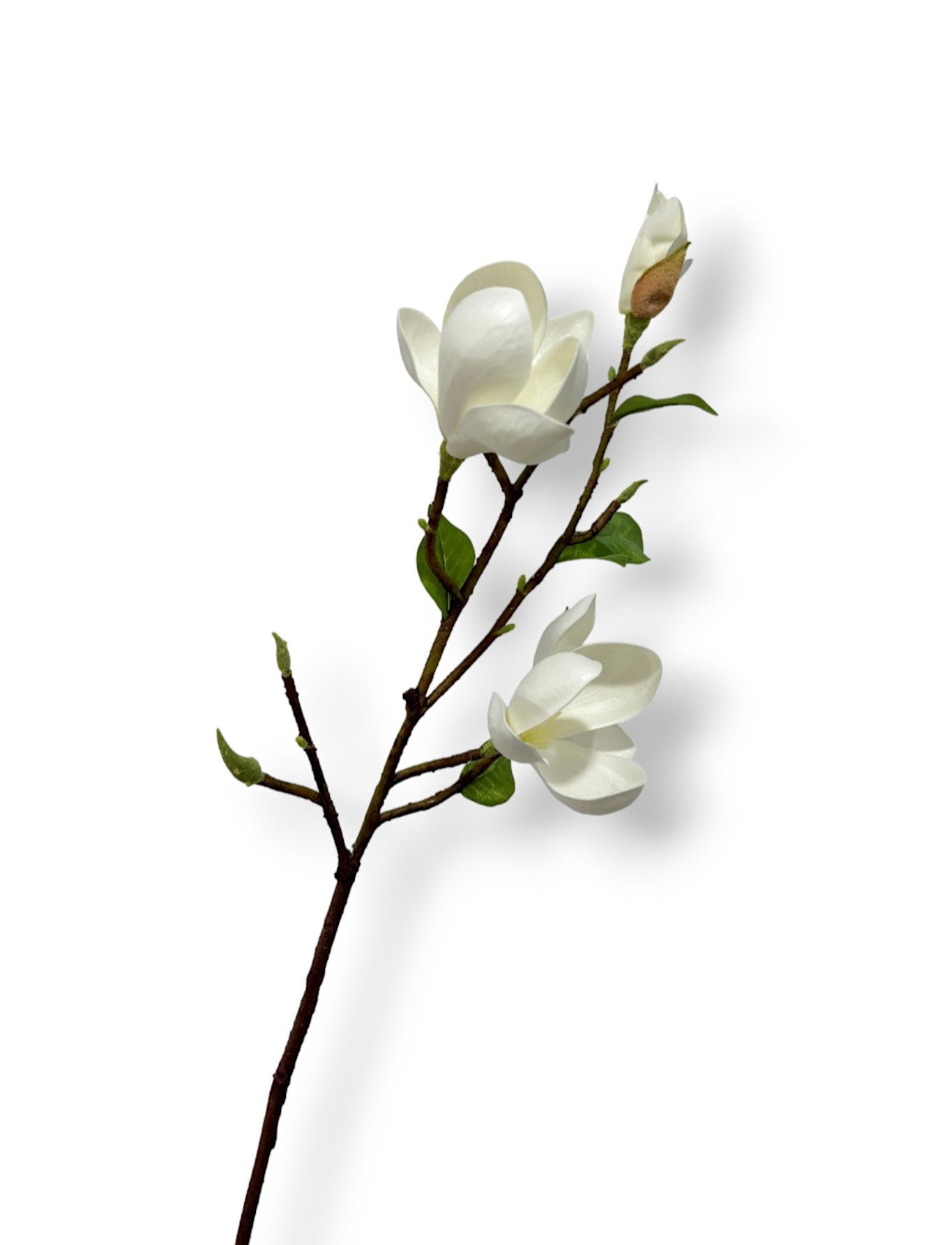 MAGNOLIA TREE PICK 24"