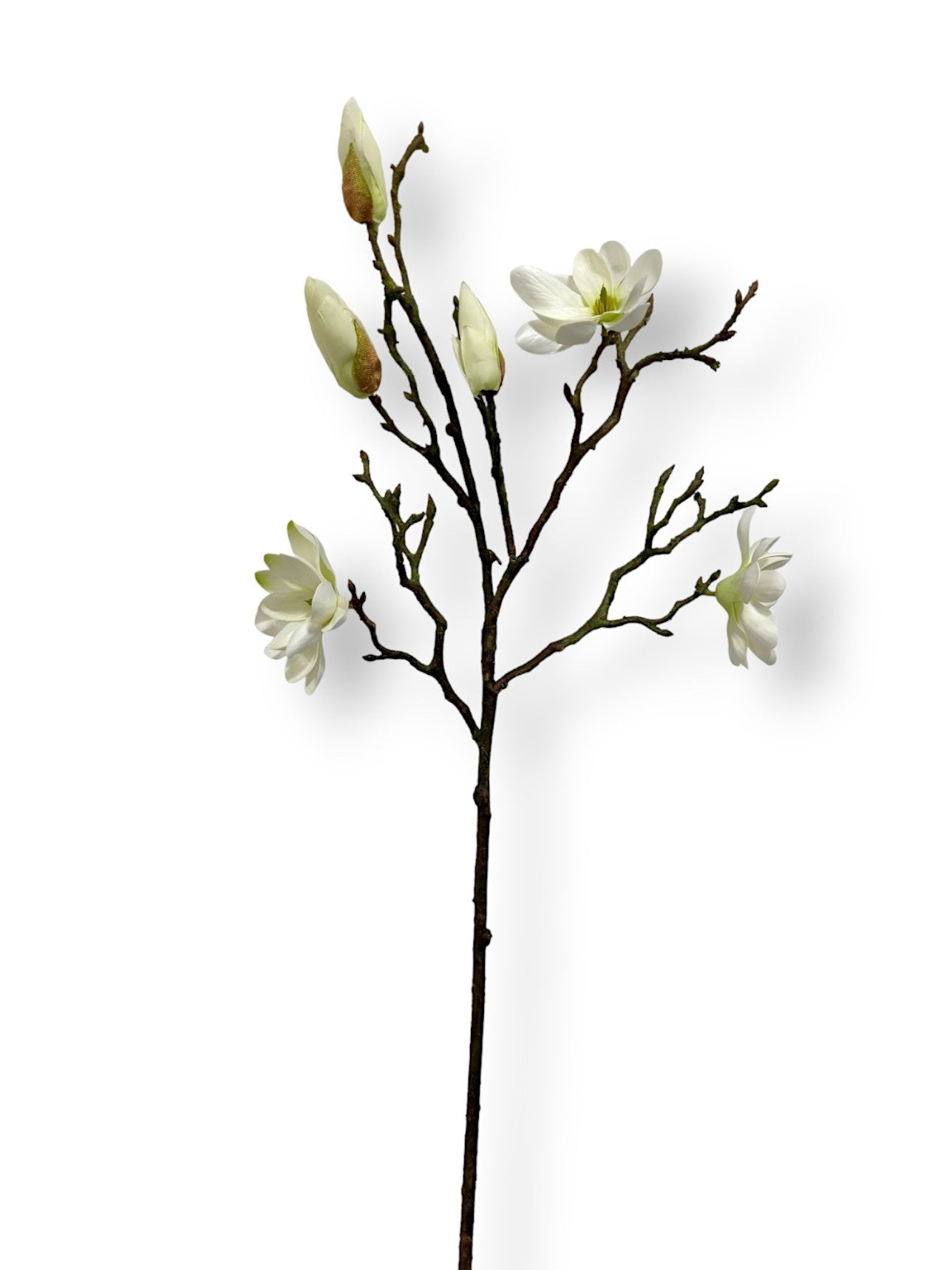 MAGNOLIA TREE SPRAY 30"