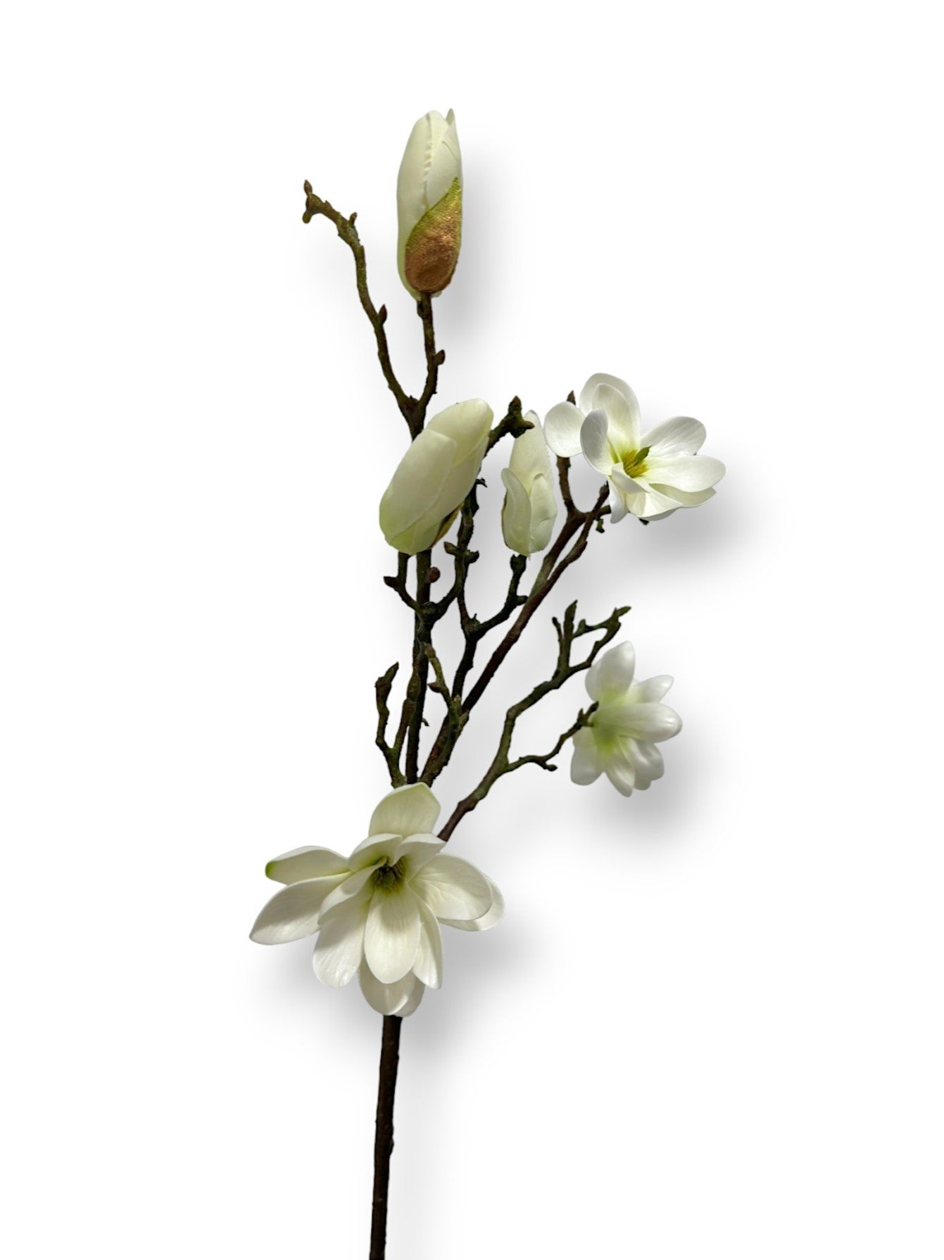 MAGNOLIA TREE SPRAY 30"