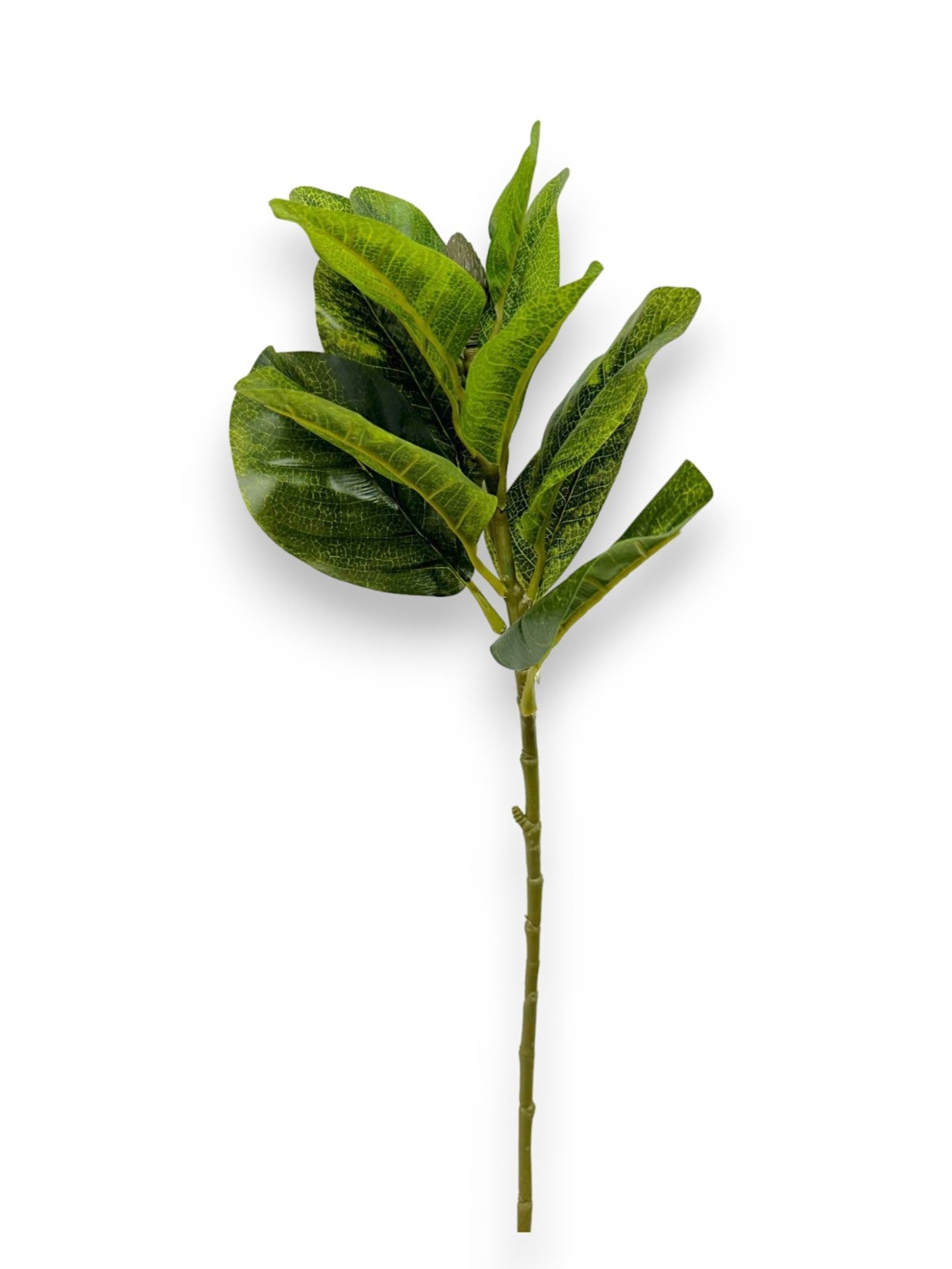 MAGNOLIA LEAF X21LVS 32"