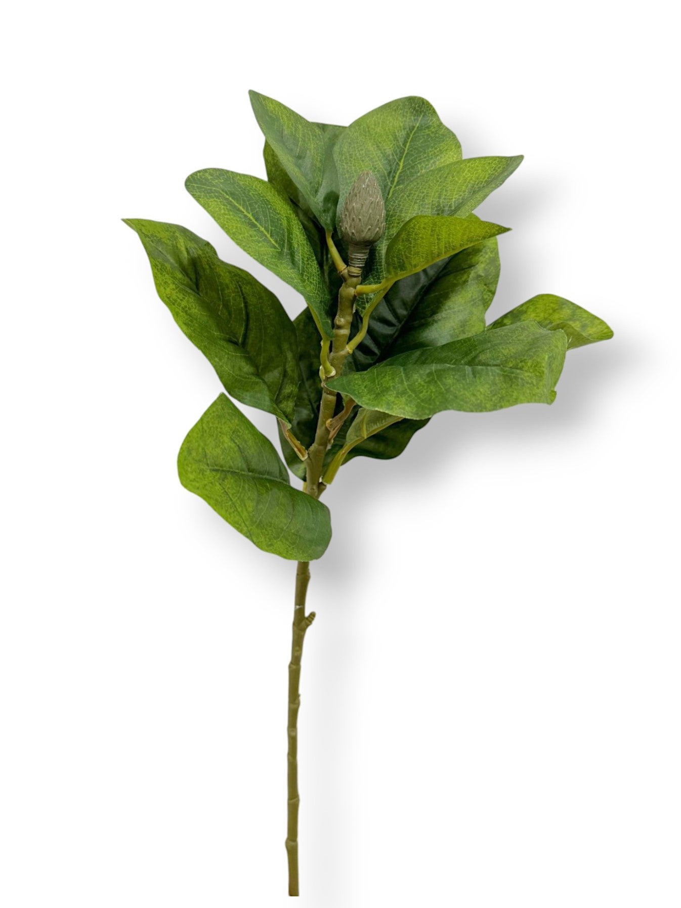 MAGNOLIA LEAF X12LVS 32"