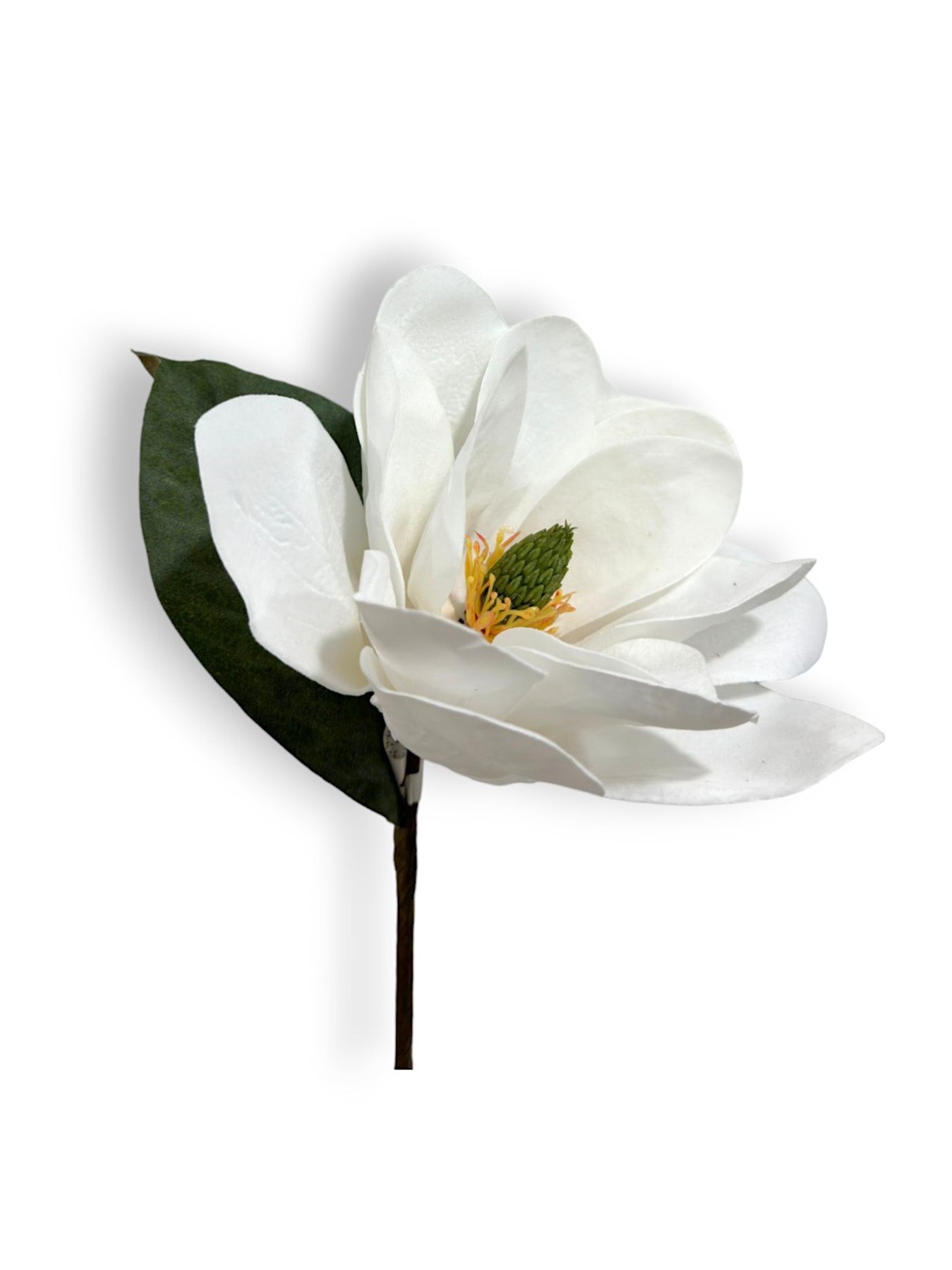 MAGNOLIA PICK 12"