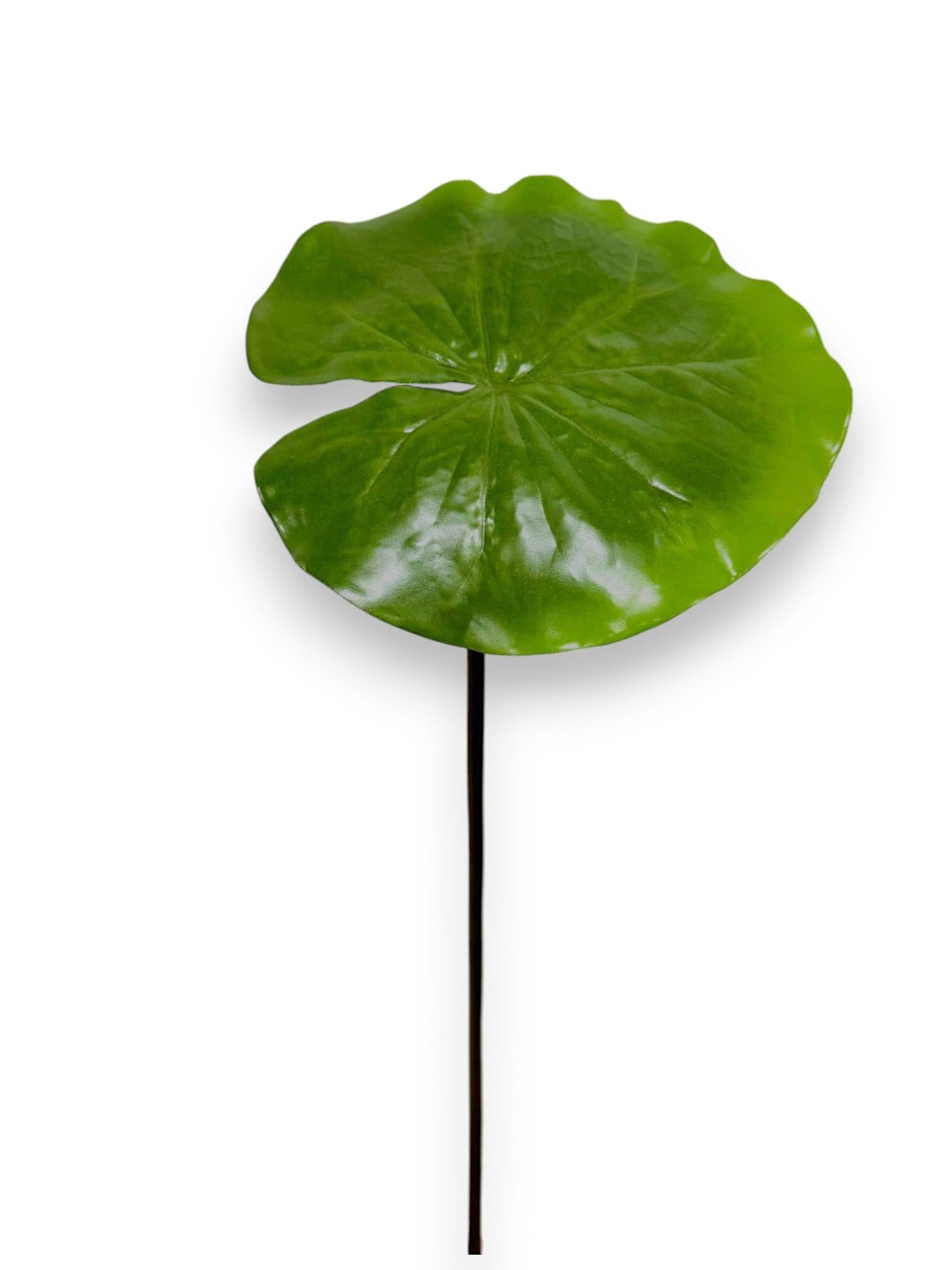 LOTUS LEAF STEM 19"
