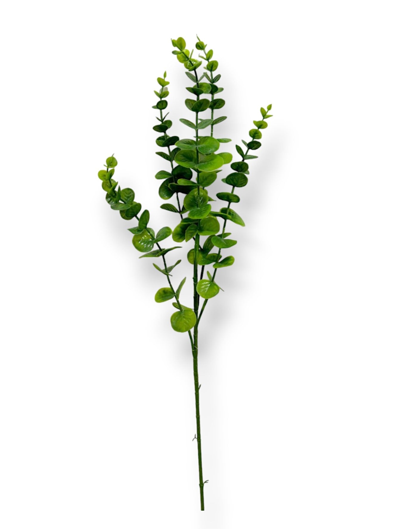 EUCALYPTUS LEAVES 29.5"