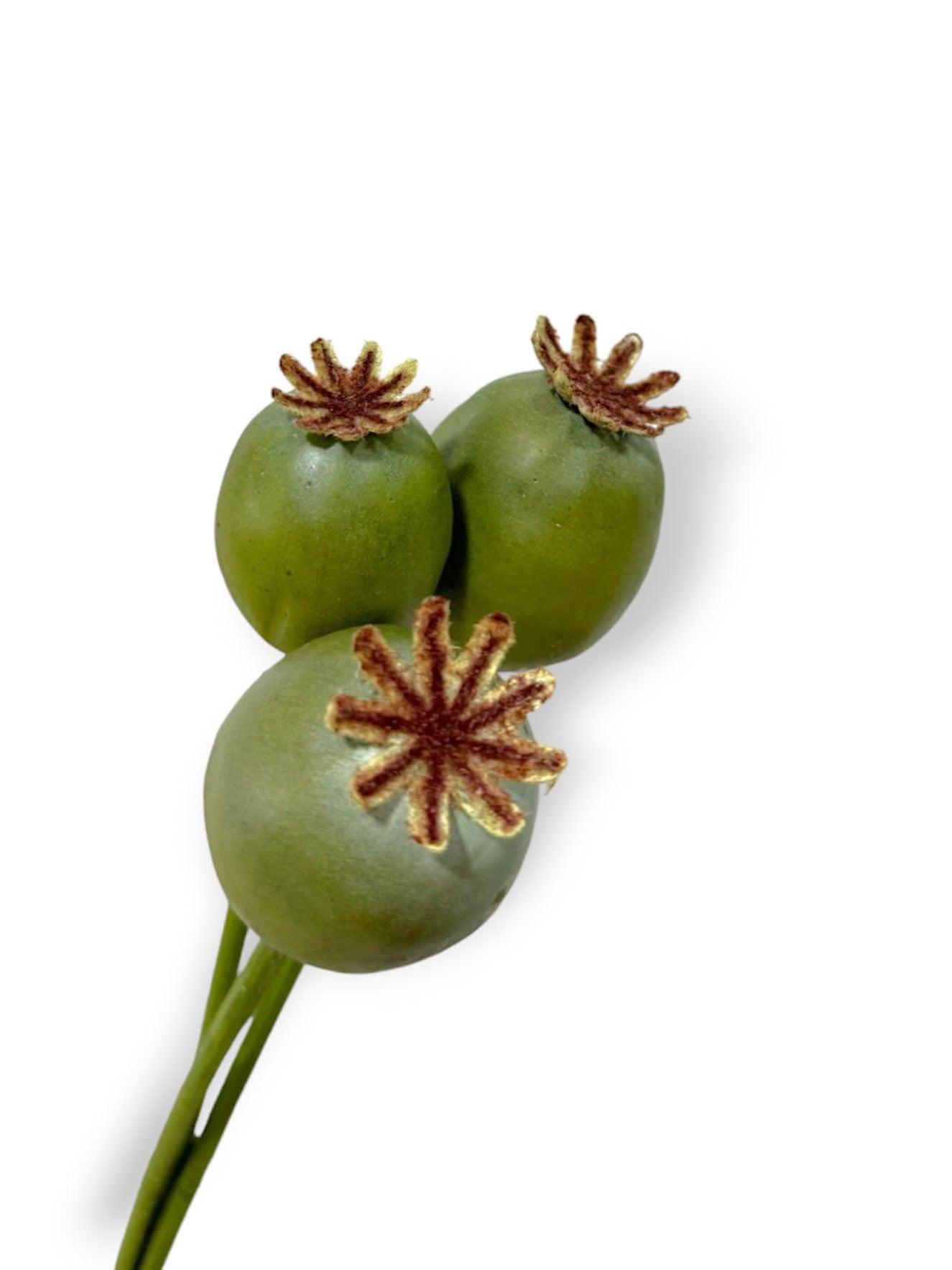 POPPY POD BUNDLEX3 19"