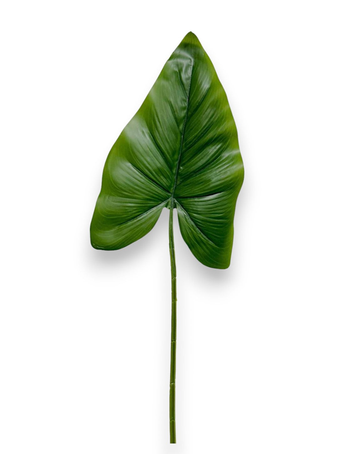 CALLA LILY LEAF