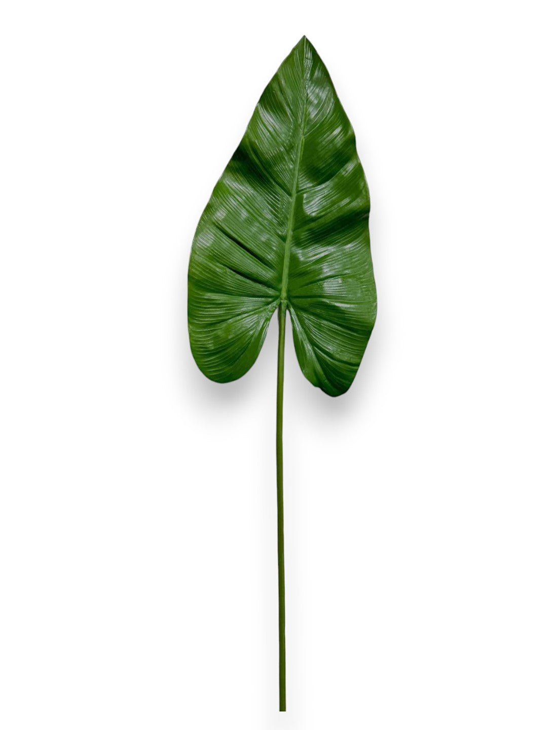 GRAND CALLA LILY LEAF 36"