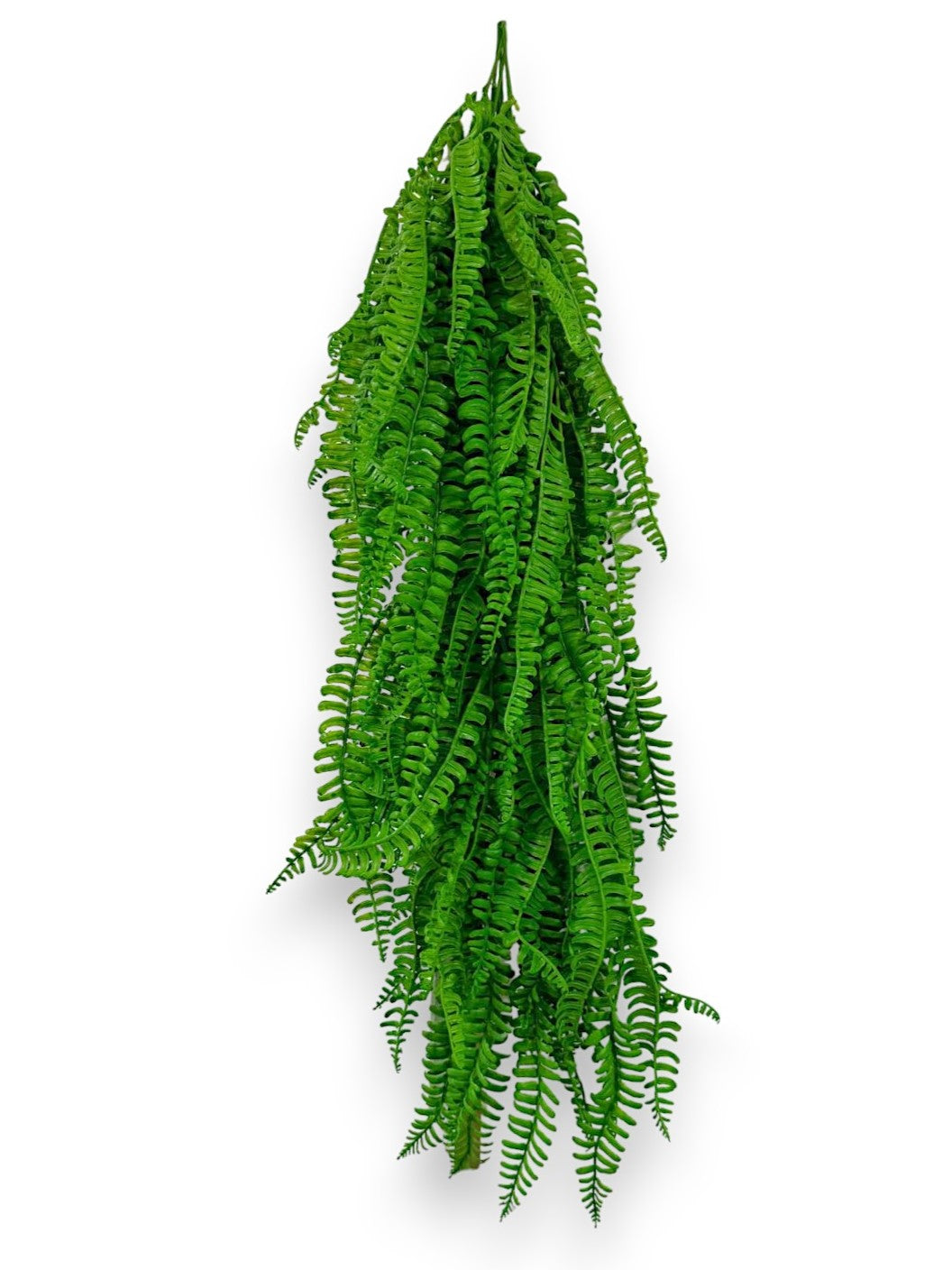 HANGING FERN 2pcs