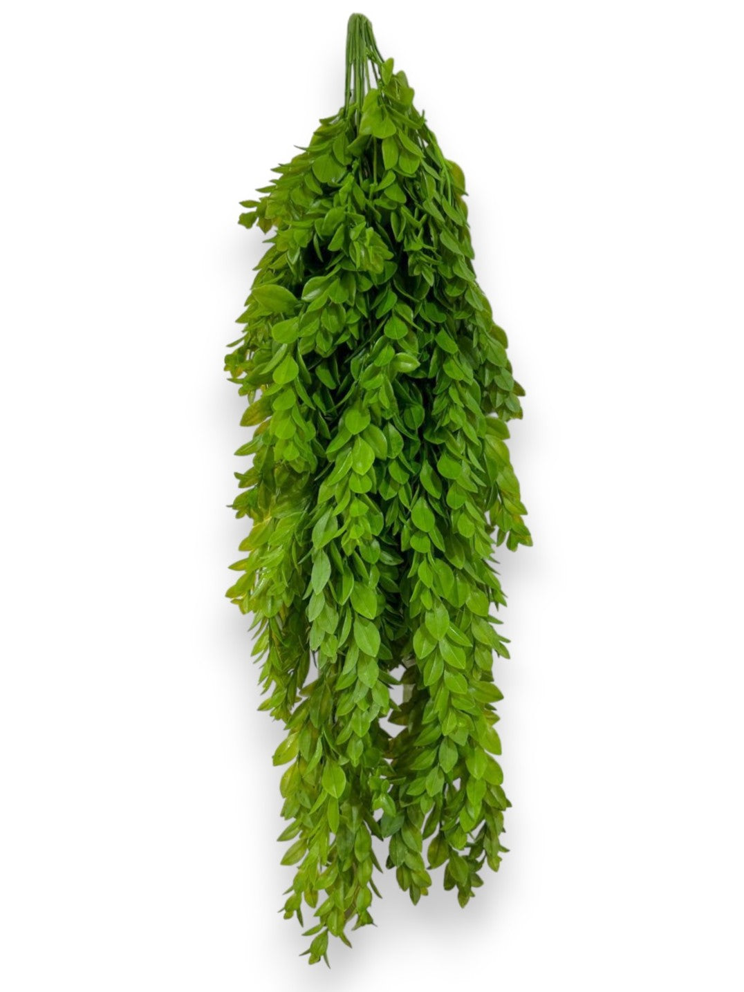 HANGING BOXWOOD 2PCS