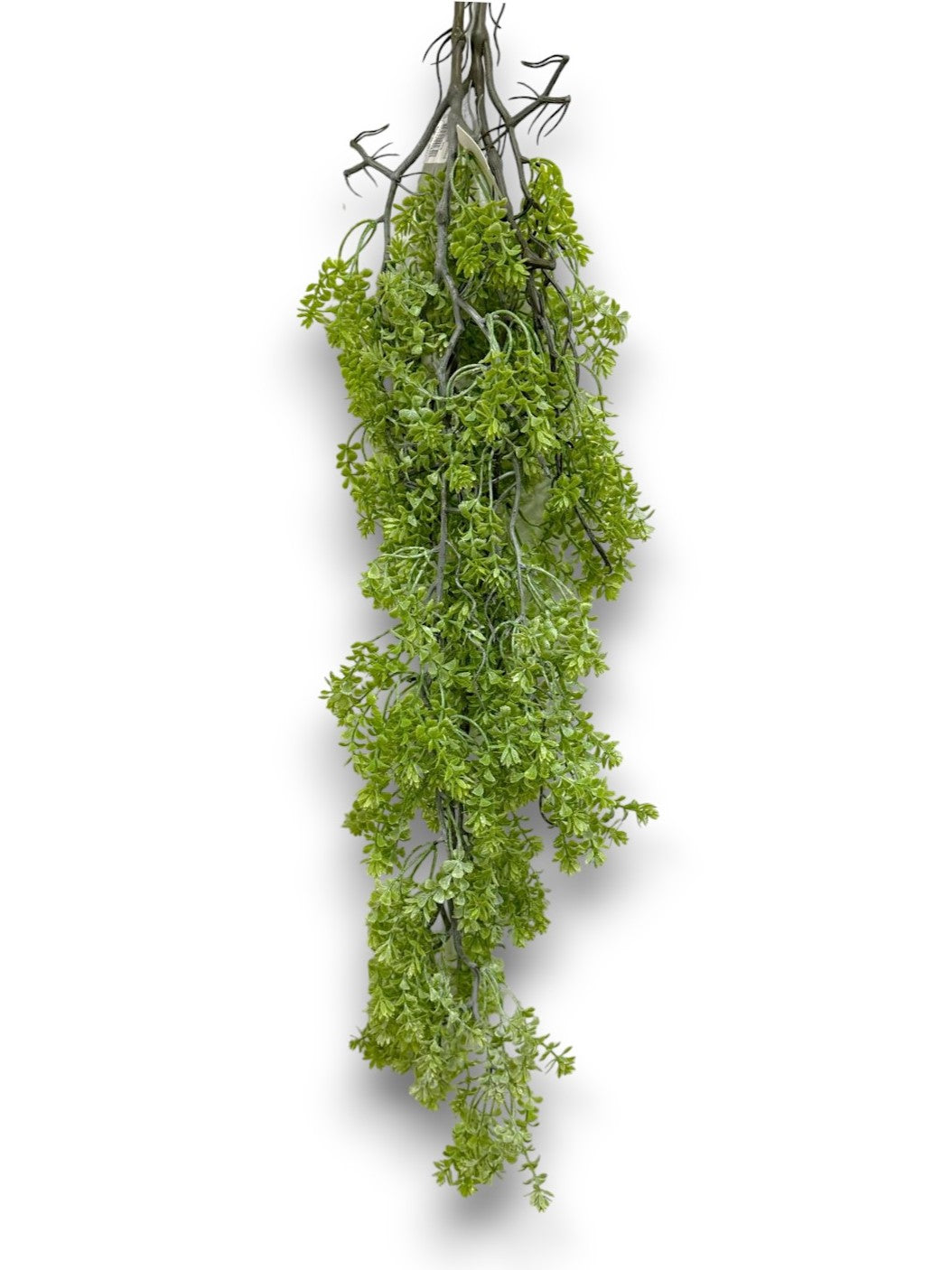 HANGING FERN 2PCS