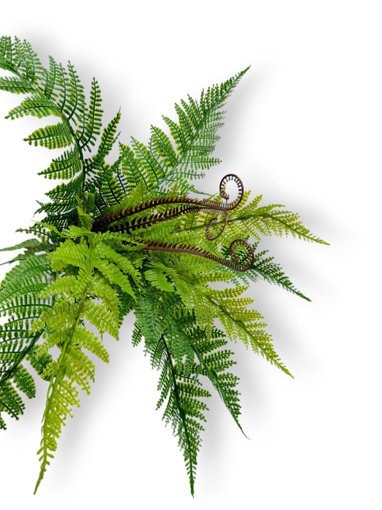 Artificial Fern