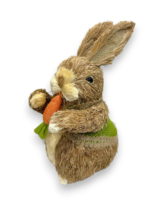 EASTER BUNNY 10" W/CARROTS