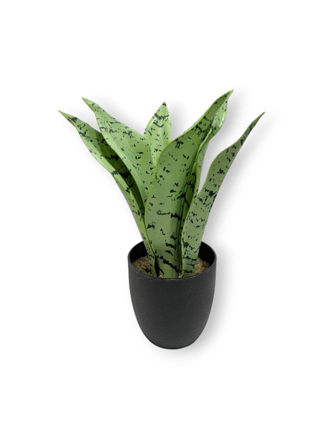 MINI POTTED SANSEVIERIA PLANT