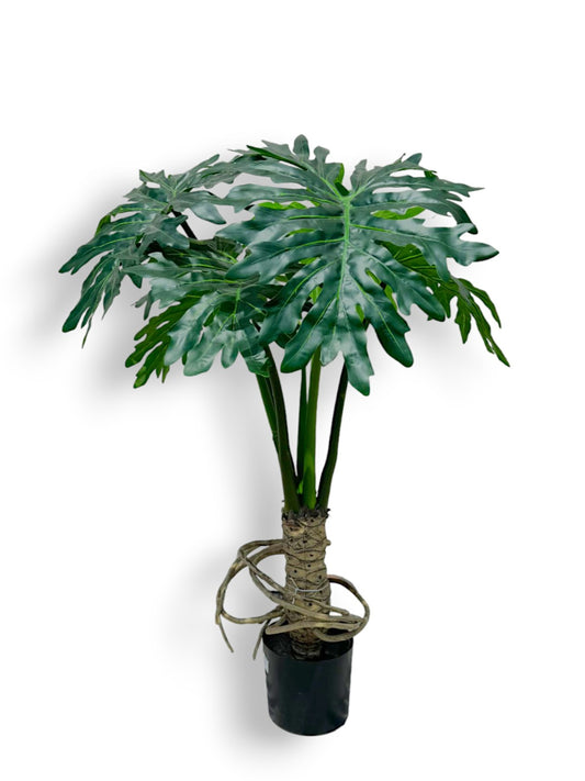 PHILODENDRON 48"
