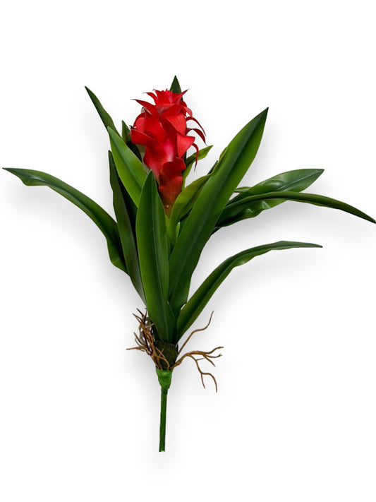 BROMELIAD NAT.TOUCH
