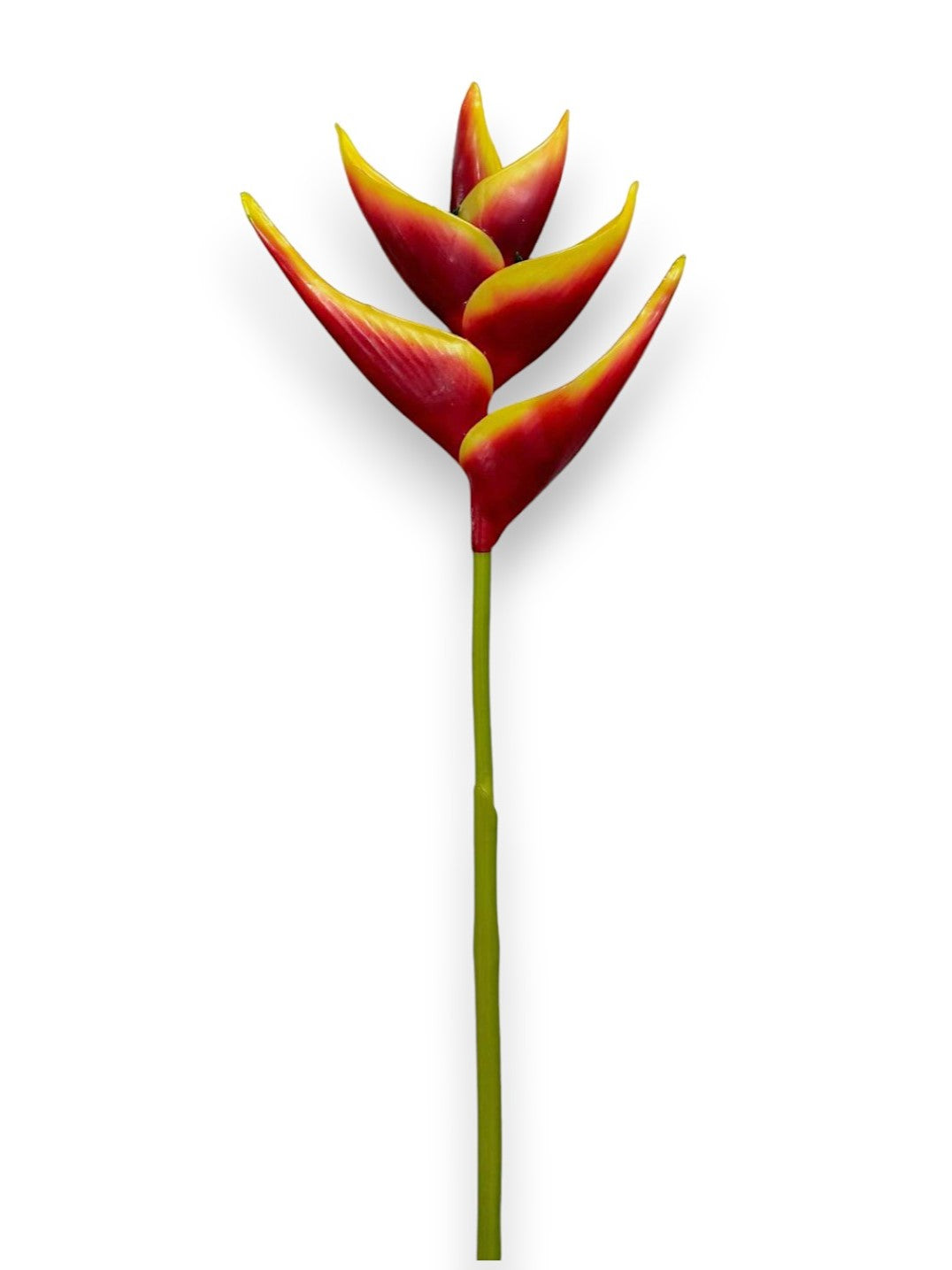 HELICONIA STEM 36"