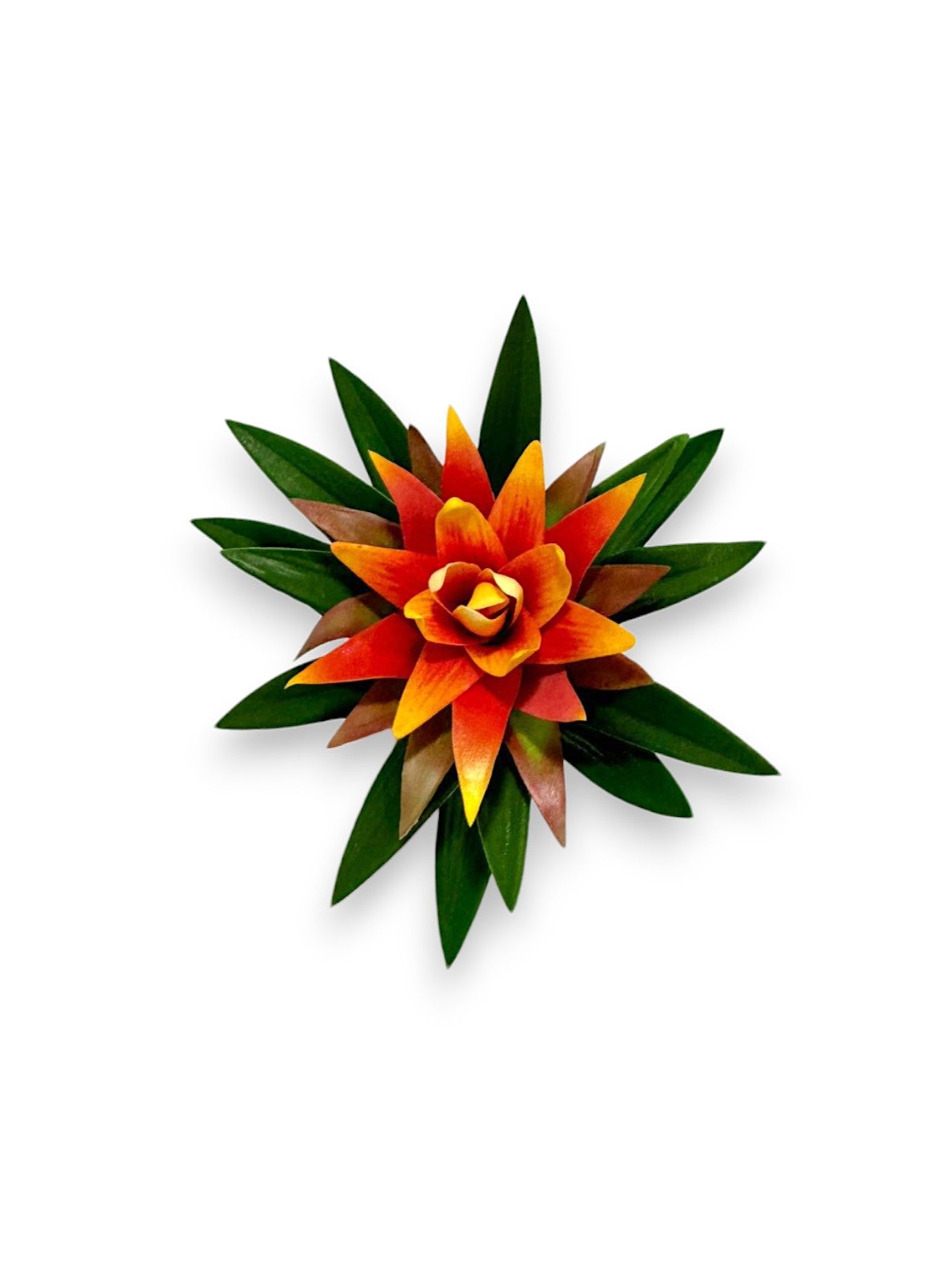 MINI BROMELIA SCARLET STAR PLANT