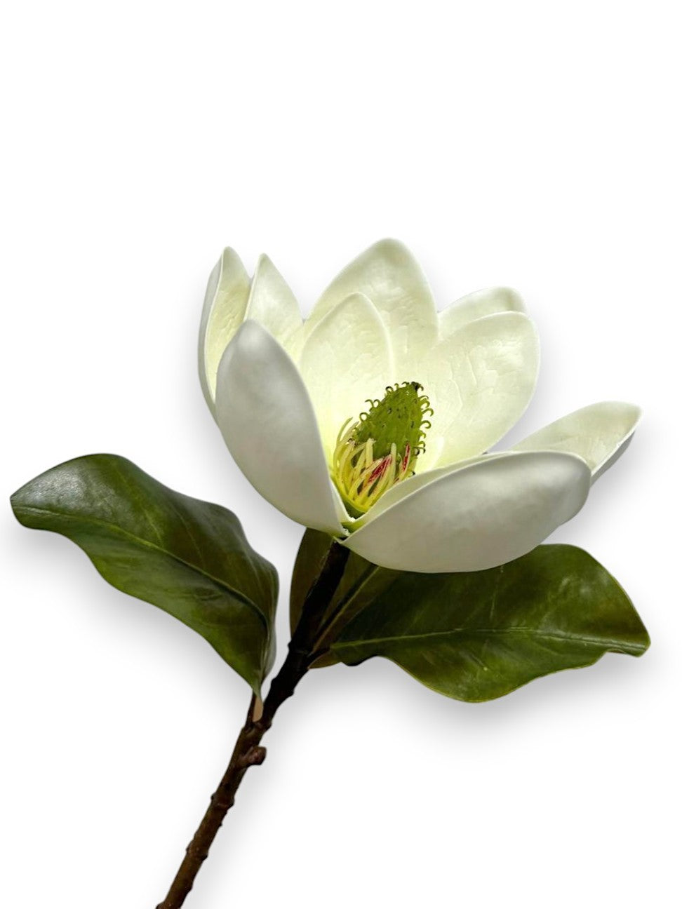 MAGNOLIA OPEN STEM 26"