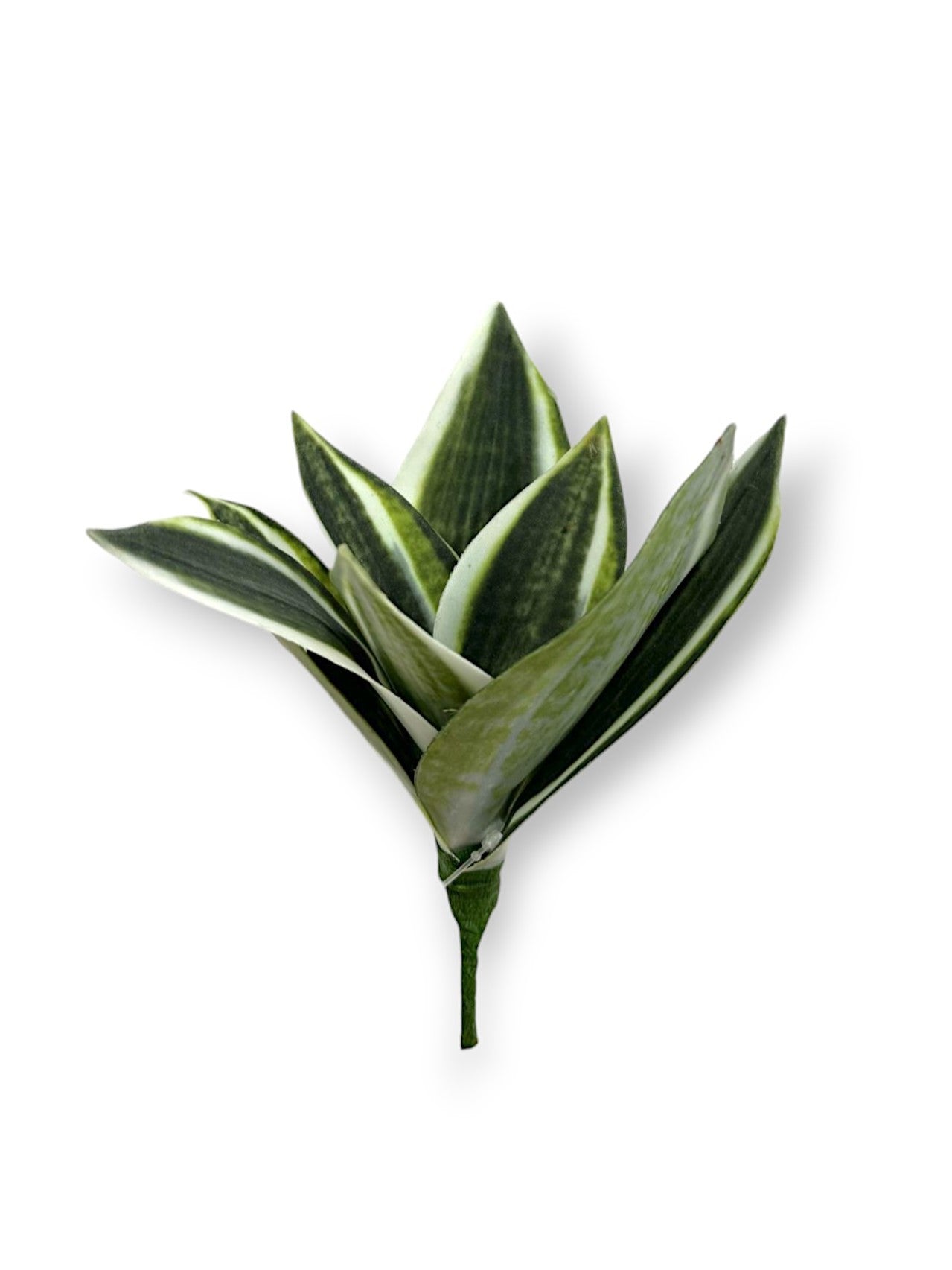 MINI BROMELIAD PLANT 8"