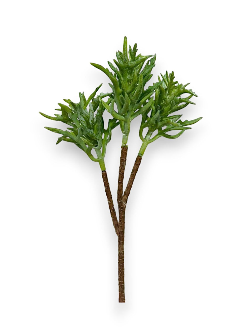 SUCCULENT PICK X3 13"