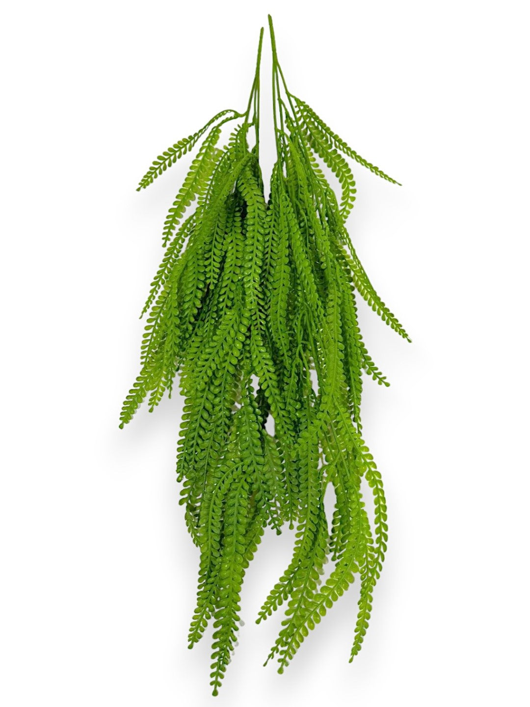 FERN HANGING PLANT 2PCS