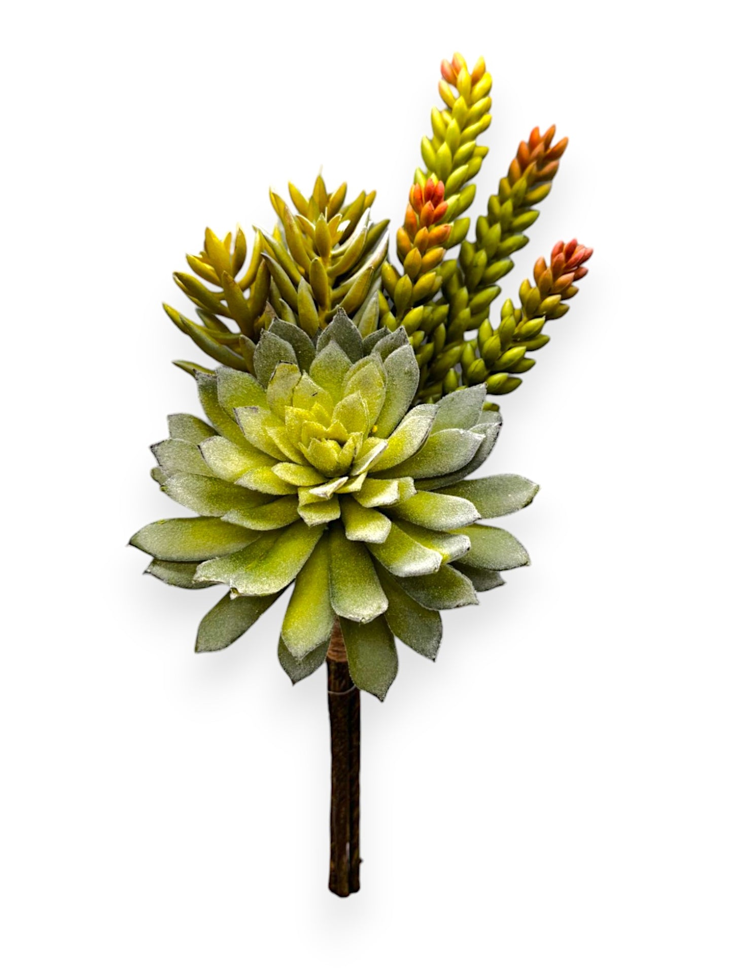 SUCCULENT BUSH MIXED 14"