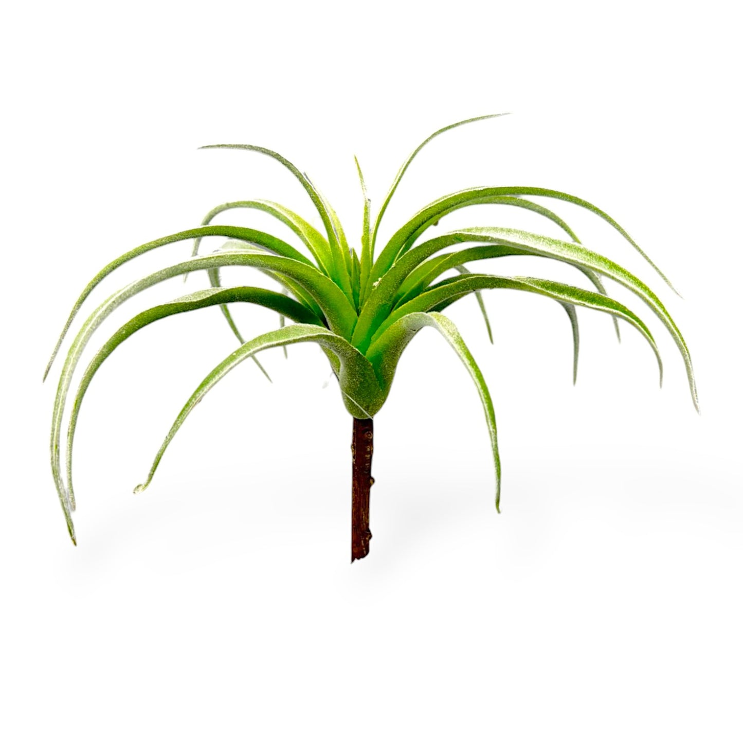 SUCCULENT TILLANDSIA PICK 9"