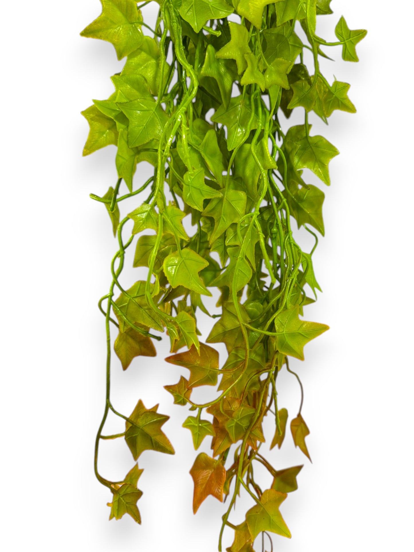 HANGING IVY LEAVES 36"